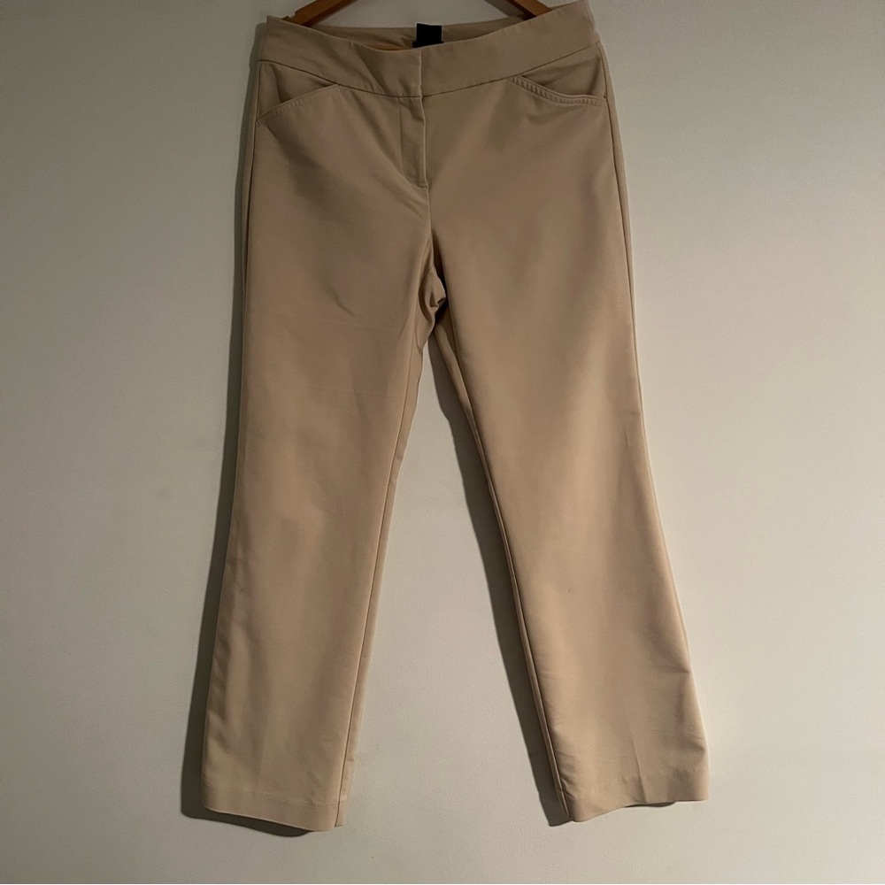ANN Taylor pants‎ straight leg size 10 in beige
